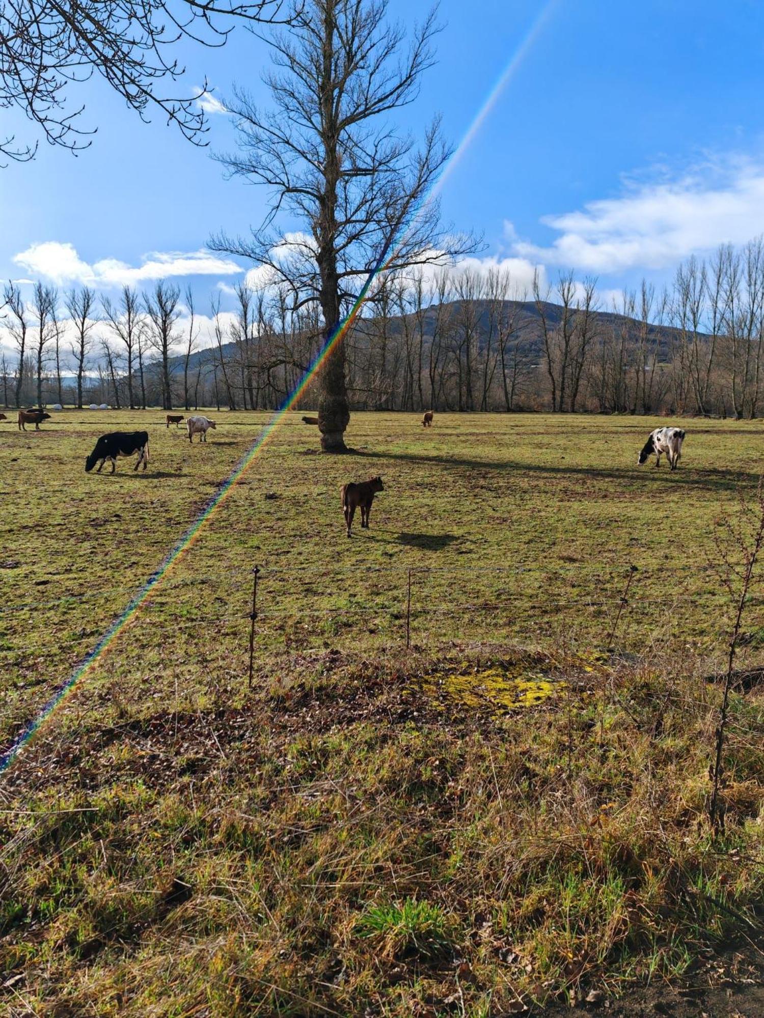 Casas Rurales Cuatro Valles Naredo de Fenar ภายนอก รูปภาพ